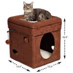 Curious Cat Cube House Condo